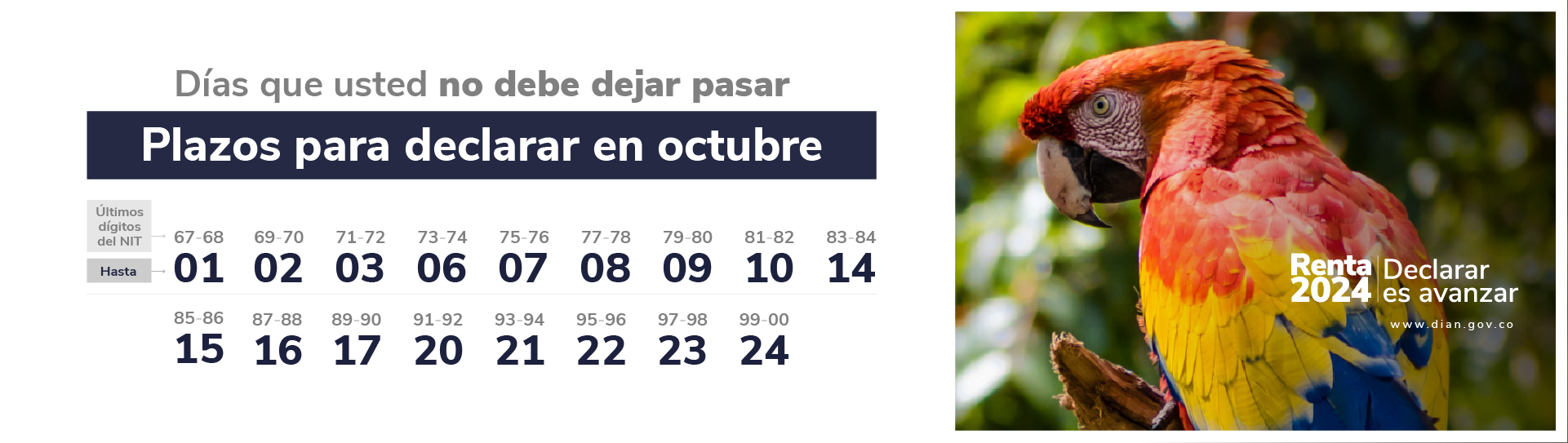 Fechas-renta-2024-plazos-octubre CT Renta Naturales 2024 octubre