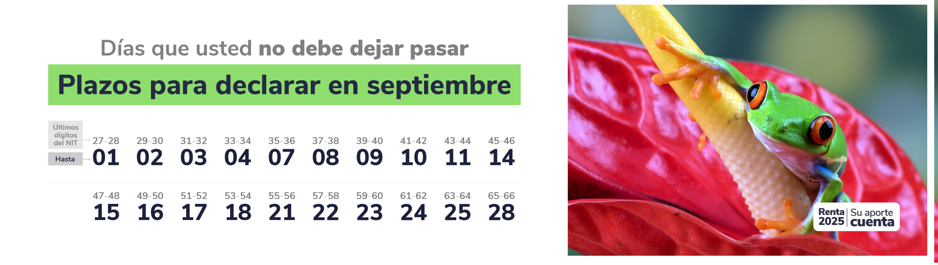 Calendario DIAN septiembre con fechas límite por últimos dígitos del NIT y rana sobre planta en imagen lateral.